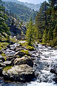 Parco del Monte Avic (Val d'Aosta). Il torrente Chalamy.